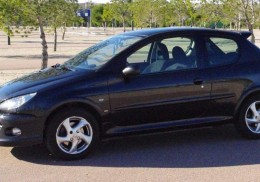 Edición limitada 206 xs clim