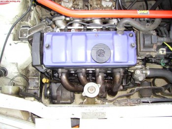 Vendo proyecto de ax gordo