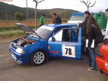 Busco coche de rallys tipo ax o 205
