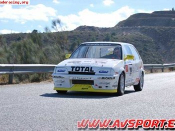 Citroen ax de competicion