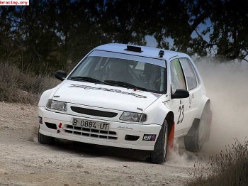 Vendo saxo de tierra