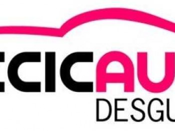 Citroen saxo vts 16v de competicion sin mecanica