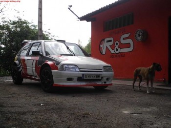 Citroen ax maxi