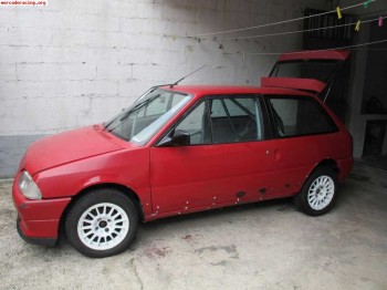 Se vende proyecto citroen ax
