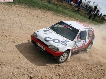 Citroen ax gt  tierra 