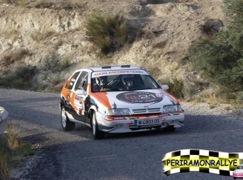Citroen zx 2.0 167cv rallyes