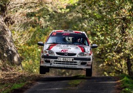 Citroen saxo 16 amf orixe