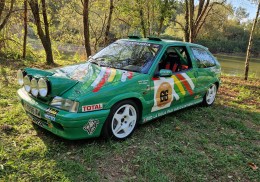 Citroën zx grupo a trofeo de rallyes (piedrafita sport)