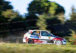 Se vende saxo 16v