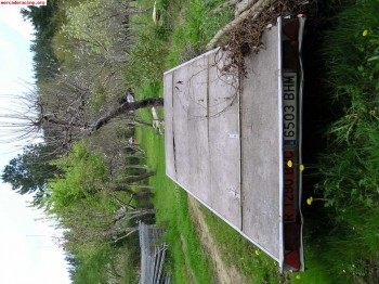 Vendo plataforma portavehiculos