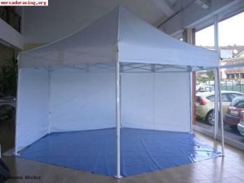 Dos carpas hexagonales alta calidad