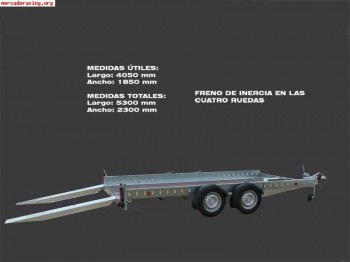 Remolque portacoches poco uso