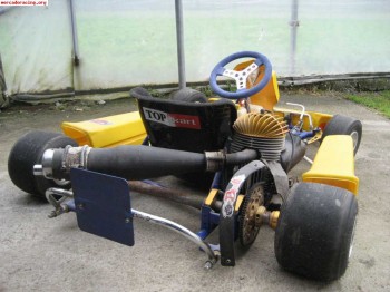 Cambio o vendo kart  top kart kzh inter a 100cc. por platafo