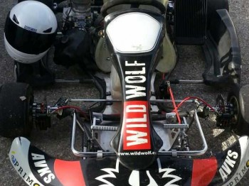 Vendo kart 125 2 tiempos o se cambia por remolque o coche de