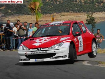 Peugeot 206 super-1600