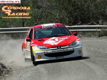 Peugeot 206 super-1600