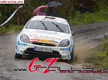 Ford puma. campeon trofeo driver 2008