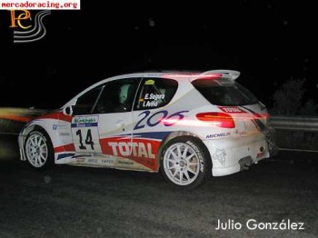 Busco 206 gti en  mal  estado (futura preparación)