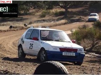 Busco coche economico ideal iniciacion