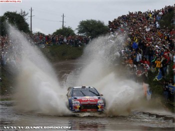 Busco coche de rally 