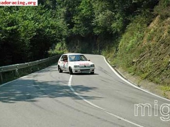 Se compra 205 rallye o gti