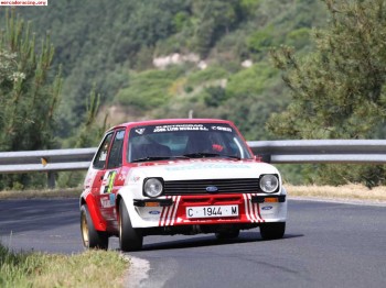 Ford fiesta grupo 2