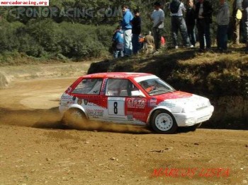 Busco clio de tierra