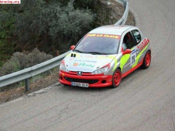 Se compra coche de rallyes hasta 6000 euros