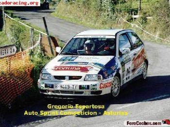 Busco ibiza gti (1.8, 2.0 o 2.0 16v) grupo n de asfalto para