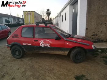 205 td homologado ideal raid