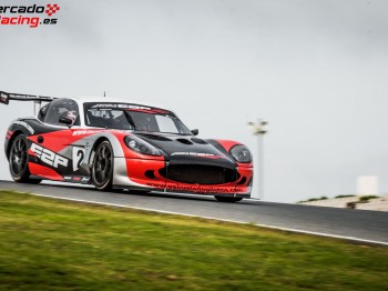 Ginetta g50 long race dos unidades