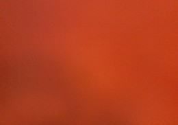 Busco dacia de la copa