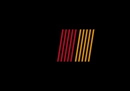 Busco mitsubishi evo x r4