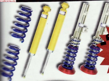 Compro suspension clio williams