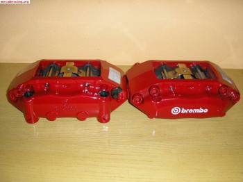 Compro pinzas brembo/ap/wilwood .