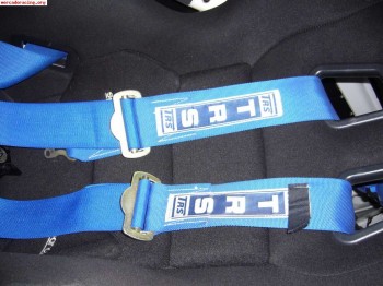 Busco pareja de arneses  4 puntos caducados