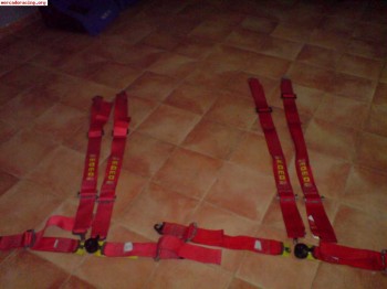 Busco arneses caducados