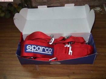 Sigo buskando baket...saludos