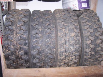Compro neumaticos competición agua-tierra 13 