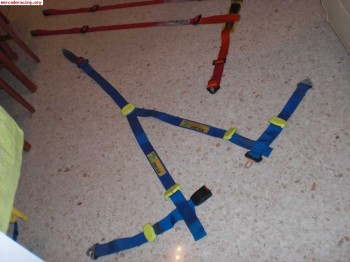 Compro arneses sabelt rojos ( minimo 4 puntos )