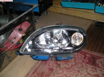 Defensa delantera saxo faseii