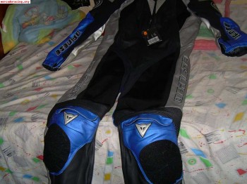 Se vende mono dainness.