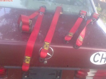 Compro cinturones delanteros rojos