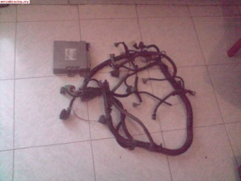 Compro centralita 106 rallye 1.6 y cableado motor