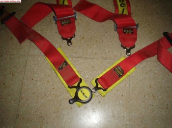 Se busca un arnes que este muy bien de precio zona catalunya