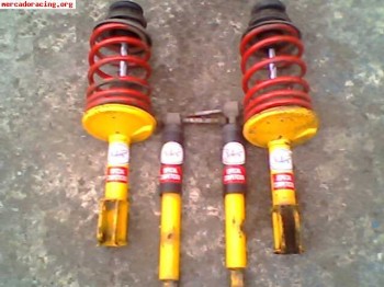 Amortiguacion clio 1