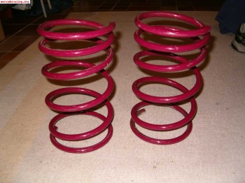 Muelles para peugeot 205
