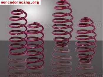 Compro muelles para ibiza cupra2