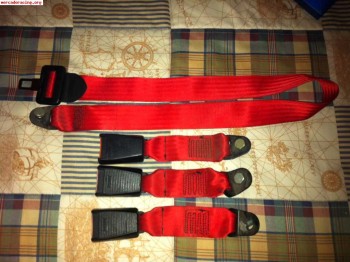 Cinturón central rojo y enganches rojos