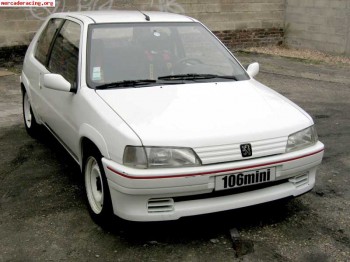 Aletas delanteras de 106 rally 